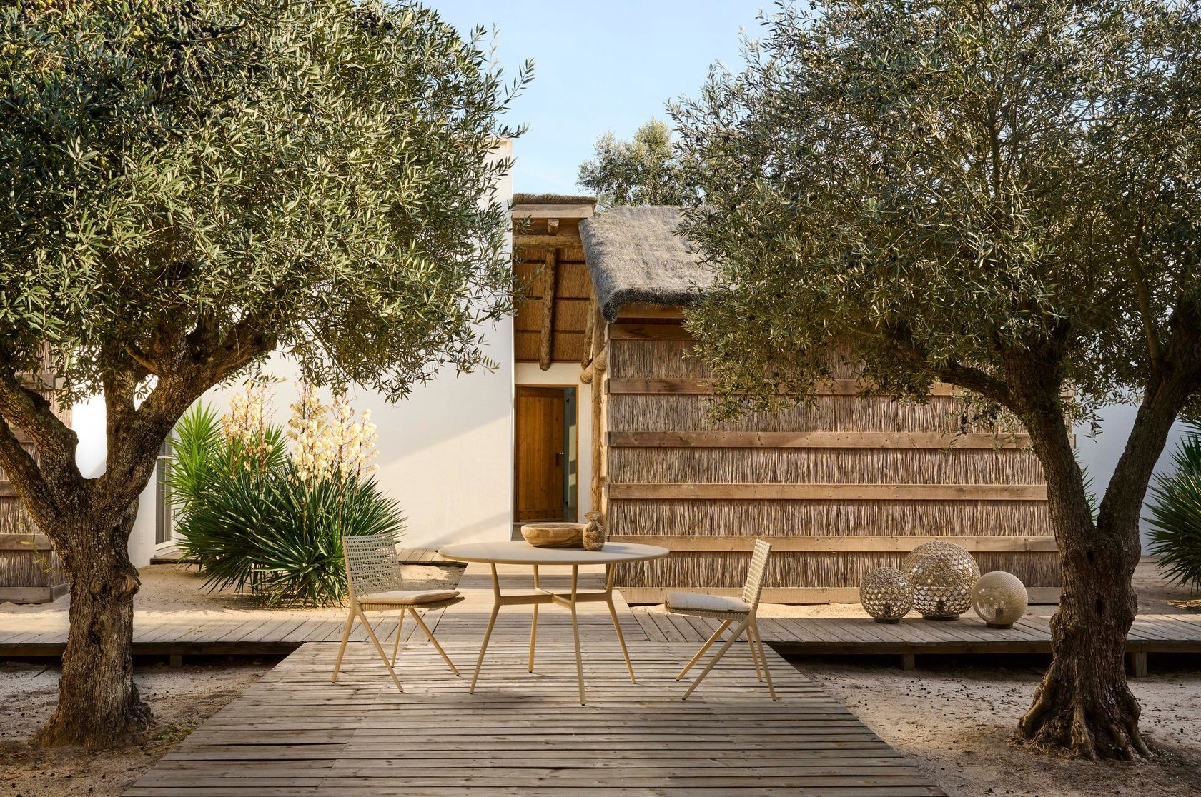 Tribù Branch collection (Lounge / Dining)